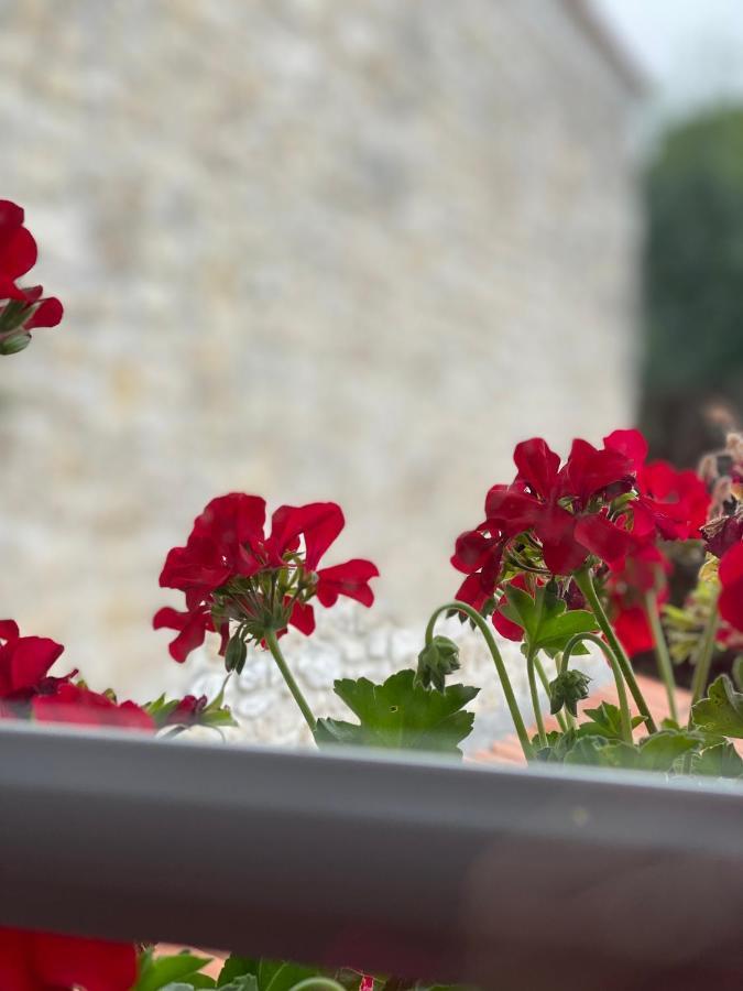 Le Vieux Moulin Bed & Breakfast Bouhet Luaran gambar